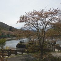 渡利第三区町内会「お花見会」いきいきサロン