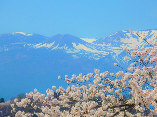福島市花見山からの雪うさぎ