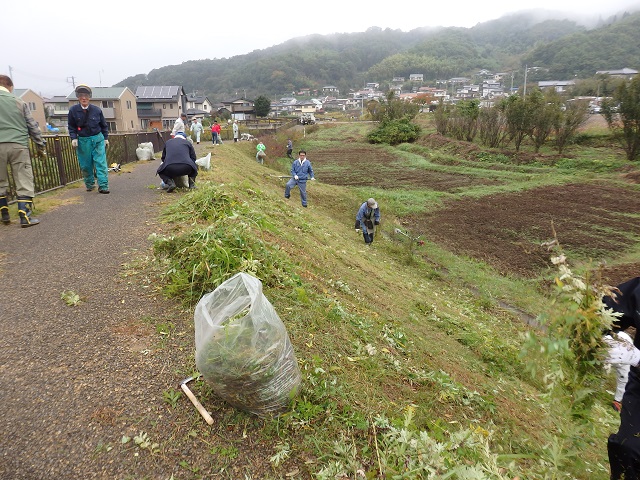 レンギョウ周辺の草刈作業