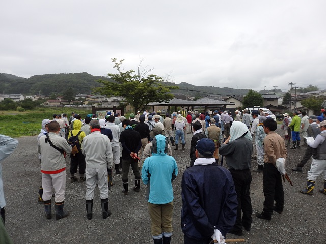 レンギョウ周辺の草刈作業