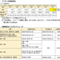 新型コロナワクチン供給減に伴う福島市の接種スケジュール