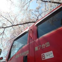 桜と消防車