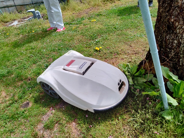 桃畑のロボット草刈り機