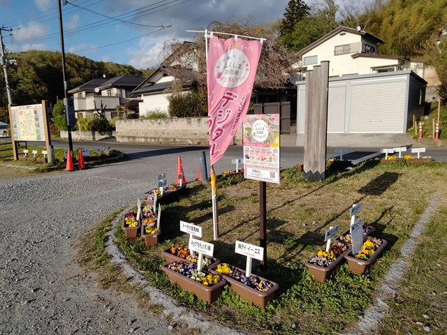 ふくしま花回廊デジタルラリーの花回廊スポット（花見山）