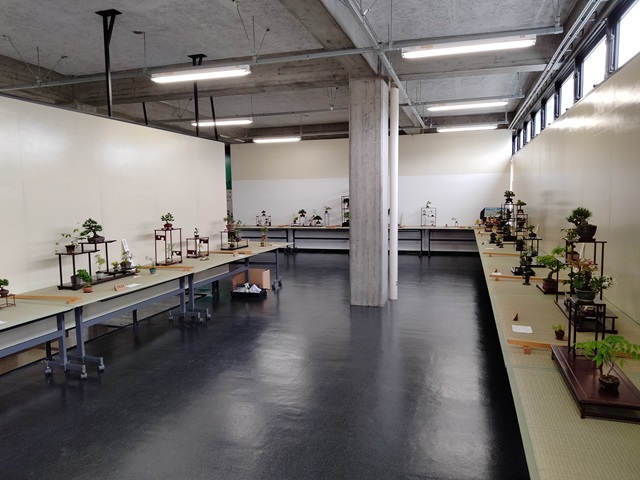 60周年記念春の福島小品盆栽展