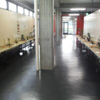 秋の福島小品盆栽展