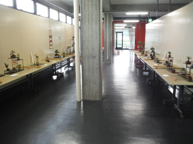 秋の福島小品盆栽展